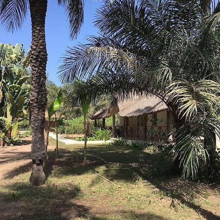 Les Maisons De Marco Senegal - B&B Cap Skirring Buitenkant foto