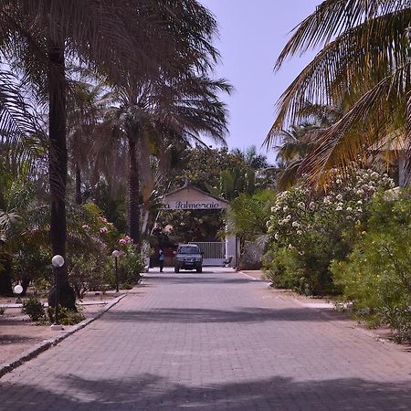 Les Maisons De Marco Senegal - B&B Cap Skirring Buitenkant foto