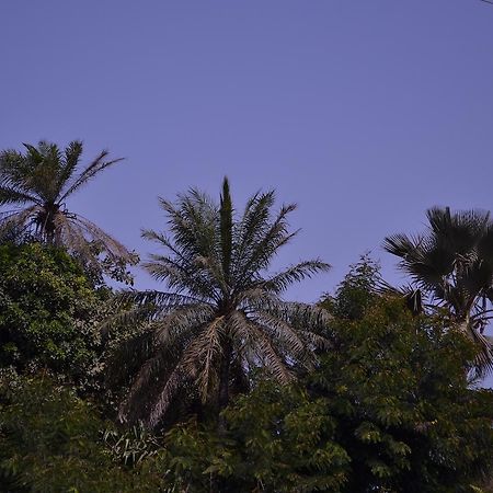 Les Maisons De Marco Senegal - B&B Cap Skirring Buitenkant foto