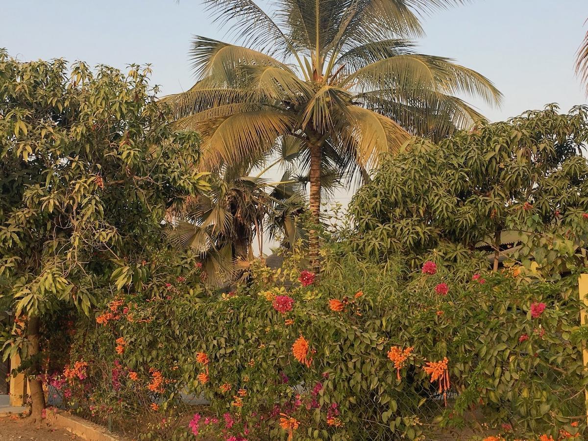 Les Maisons De Marco Senegal - B&B Cap Skirring Buitenkant foto