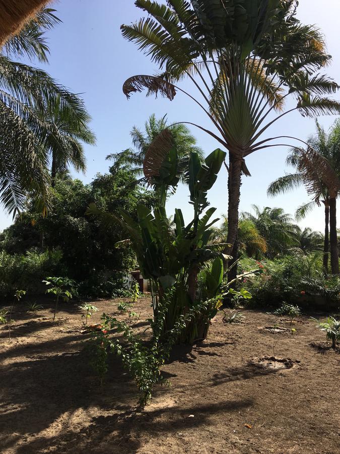 Les Maisons De Marco Senegal - B&B Cap Skirring Buitenkant foto