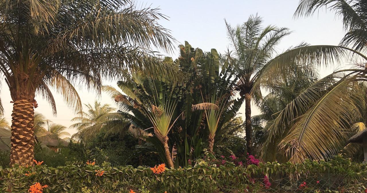 Les Maisons De Marco Senegal - B&B Cap Skirring Buitenkant foto