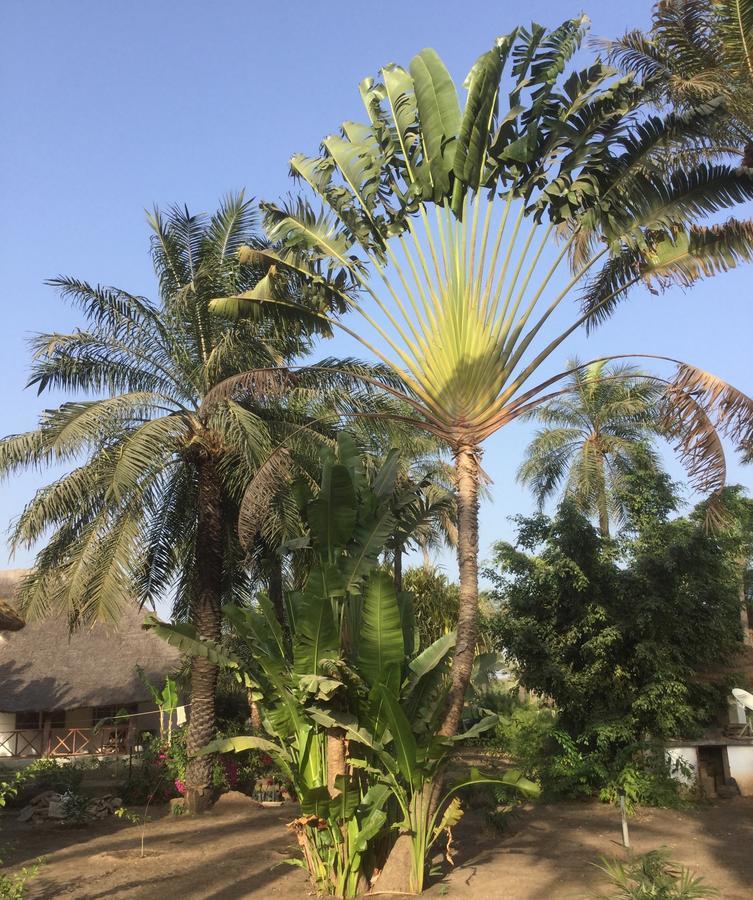 Les Maisons De Marco Senegal - B&B Cap Skirring Buitenkant foto