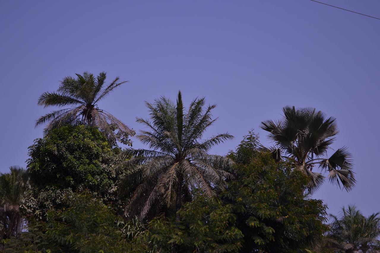 Les Maisons De Marco Senegal - B&B Cap Skirring Buitenkant foto