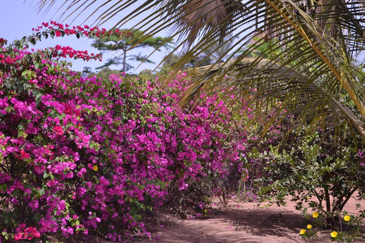 Les Maisons De Marco Senegal - B&B Cap Skirring Buitenkant foto